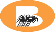 Balrampur Chini Mills Ltd.