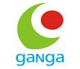 ganga motors